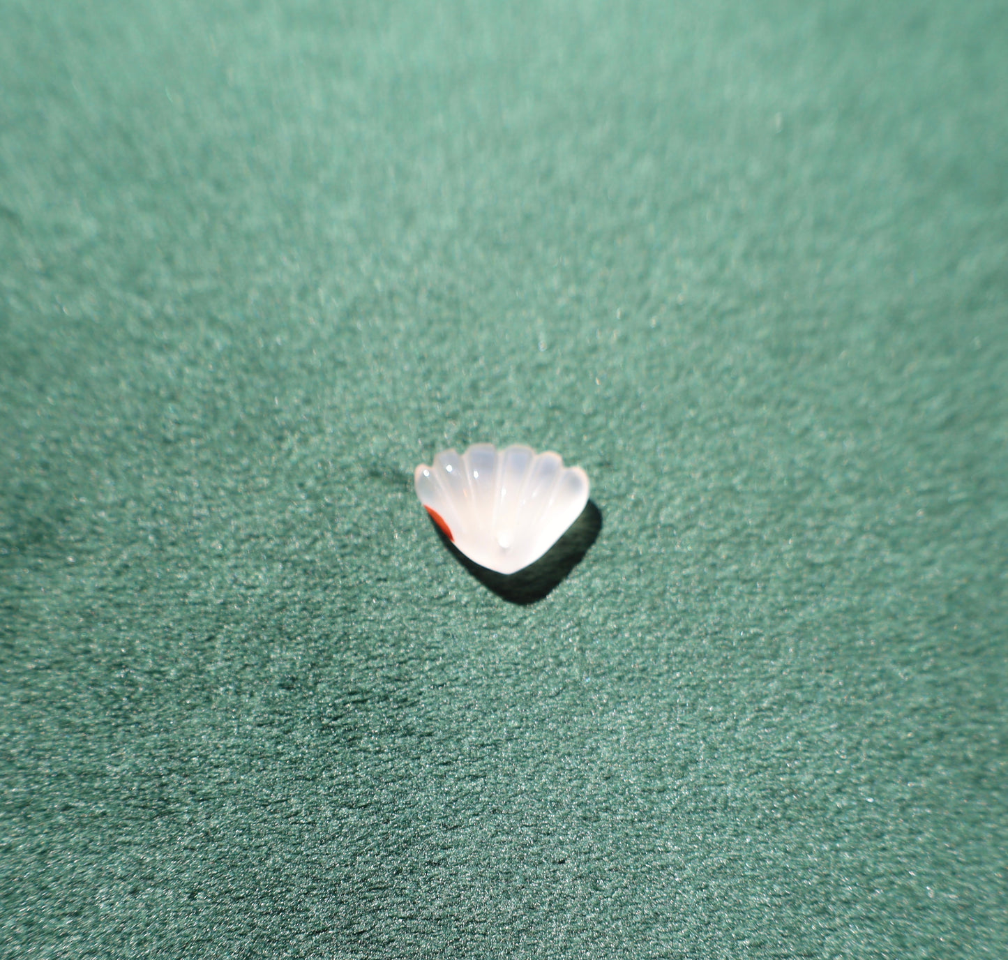 Nanhong Agate Shell Pendant (Drilled for Stringing)